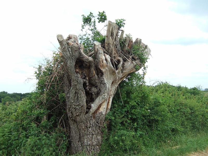 2010-05- (116).JPG